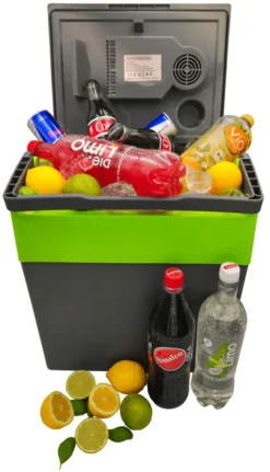 Steinborg Kühlbox 30 Liter | Warmhaltebox | Praktischer Tragegriff | Eco-Modus | 12 V/ 230 V Stromversorgung -Leonardo Verkäufe 05a1434aaaf1f0120270e0c85605b2de
