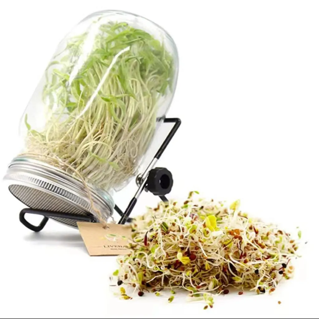 2x 750ml Sprossenglas Set Samenkeimer Mit Edelstahl Siebdeckel + Ständer, Das Sprossenglas Für Sprossen 2 2x 750ml Sprossenglas Set Samenkeimer Mit Edelstahl Siebdeckel + Ständer, Das Sprossenglas Für Sprossen – Bild 2