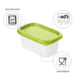 ROTHO Set Gefrierdosen 4 X 0.2 L DOMINO, Farbe:Limettengrün -Leonardo Verkäufe 13ebf58034d2b9173e889973e1e790e8