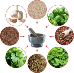 Zeller Mörser & Stößel-Set, Granit, Anthrazit Ø13x8 -Leonardo Verkäufe 22939616e8810df16e9c7bd8b210f385