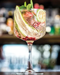 Pasabahce 440237 Timeless Gin Tonic Cocktailglas, 550ml, Glas, Transparent, 12 Stück 7 Pasabahce 440237 Timeless Gin Tonic Cocktailglas, 550ml, Glas, Transparent, 12 Stück -Leonardo Verkäufe 289217e309ae351251910bf9b2bb7ebc