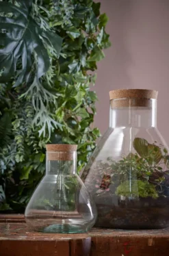 Mica Decorations Emily Vorratsglas - H32 X Ø29,5 Cm - Transparent -Leonardo Verkäufe 476a990c836c606bb01f111fef69199a