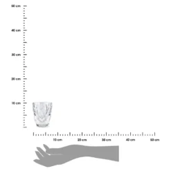 Glas 250 Ml 6er Set Aus Glas Transparent 10cm X 8cm -Leonardo Verkäufe 6f5420c667a7eb3c41989c05aa037d5d