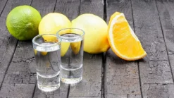 SCHLOSSEREI BAYERWALD Schnapsgläser Set 6 Stück Je 28 Ml - Shotgläser Wodka Schnaps Tequila Grappa - Transparent 7 Cm Höhe -Leonardo Verkäufe 7dbeb904752908baedd0bccbe57b4e6b