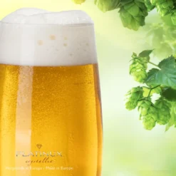 Bierkelche 500ml (max. 580ml) Set 6-Teilig Bierglas Weizengläser Aus Crystalline Glas -Leonardo Verkäufe a1c472d4c58d1d0c0a533ed5175c2710