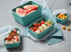 Emsa CLIP & CLOSE Colour Edition Grün 4er Set (0,2 / 0,55 / 0,8 / 2,2) -Leonardo Verkäufe a74fee1907346e1198e6b98f2863a95b