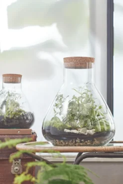 Mica Decorations Emily Vorratsglas - H32 X Ø29,5 Cm - Transparent -Leonardo Verkäufe a9f7625d673e1ef6ea2b9778e30f072c