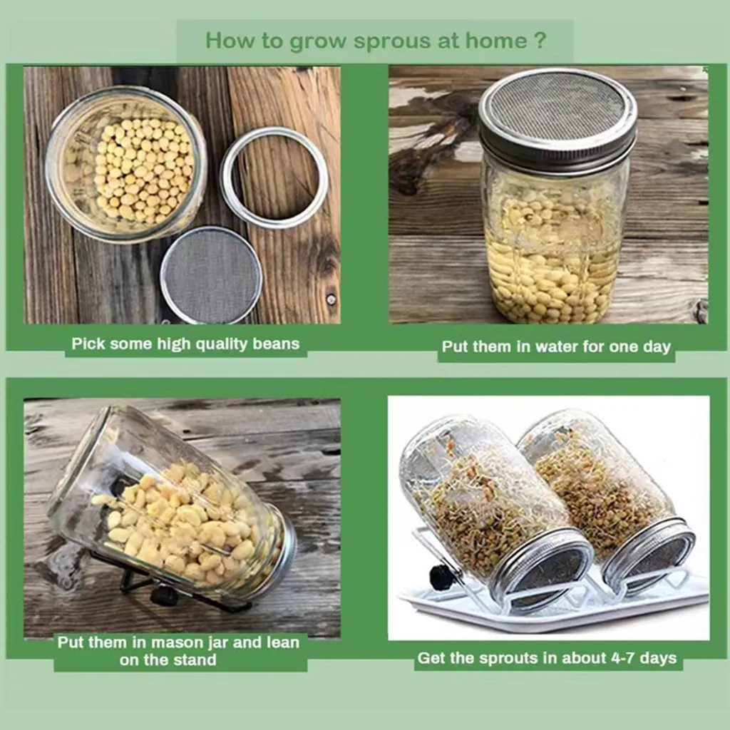 2x 750ml Sprossenglas Set Samenkeimer Mit Edelstahl Siebdeckel + Ständer, Das Sprossenglas Für Sprossen 13 2x 750ml Sprossenglas Set Samenkeimer Mit Edelstahl Siebdeckel + Ständer, Das Sprossenglas Für Sprossen – Bild 13