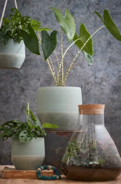 Mica Decorations Emily Vorratsglas - H32 X Ø29,5 Cm - Transparent -Leonardo Verkäufe c77d52452abee1b3b34a268c31c0f2c3