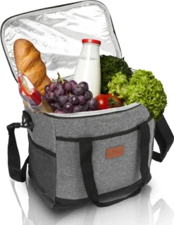 Lospitch 25L Kühltasche Faltbar Kühlkorb Kühlbox Isoliertasche Thermotasche Picknicktasche Für Lebensmitteltransport, Grau -Leonardo Verkäufe d2ef7b9c6321a57f0b7cd2421e913945