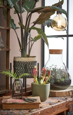 Mica Decorations Emily Vorratsglas - H32 X Ø29,5 Cm - Transparent -Leonardo Verkäufe eb27dff841aa8ba12737380badcb50be