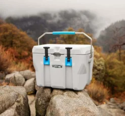 Lifetime Kühlbox 26,5 Liter Volumen -Leonardo Verkäufe eb3afbf0fd6ad9829178f4d49179c28d