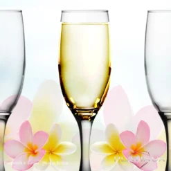 Sektgläser Bunt Aus Glas 150ml (max.190ml) Set 6-Teilig Champagnergläser Prosecco Gläser 12 Sektgläser Bunt Aus Glas 150ml (max.190ml) Set 6-Teilig Champagnergläser Prosecco Gläser -Leonardo Verkäufe ee679143e6d5b7595a60403f1d118b80