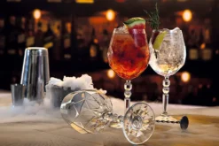 Topkapi Elite Gin Tonic XL Cocktailglas Alkemist 6 Stück -Leonardo Verkäufe f09b36f3a902edfb1e1488a471369d74