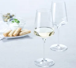 Leonardo Rieslingglas 400ml Puccini -Leonardo Verkäufe fecd412c41a2ecc0a6cd74db808d3262